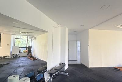 Spațiu comercial / birouri în zona Izvor-Libertatii-Cișmigiu - 16