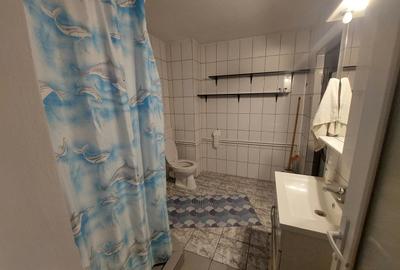 TECHIRGHIOL, CENTRAL, VILA  D+P+1, DESCHIDERE PE COLT, 5 CAMERE, 5 BAI - 31