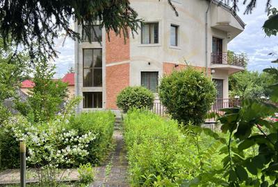 Acasă la Bascov- Județ Arges cu peisaj de poveste - 10