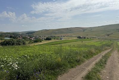 Exclusivitate! Com0%! Teren în Dezmir 5800mp Intravilan/Extravilan front 16,2ml - 2