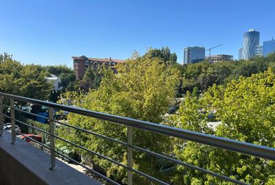 Floreasca 4 cam lux vedere lac - 15