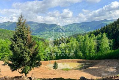 Oportunitate! Domeniu montan, cu lac propriu, oras Lupeni, Hunedoara - 1