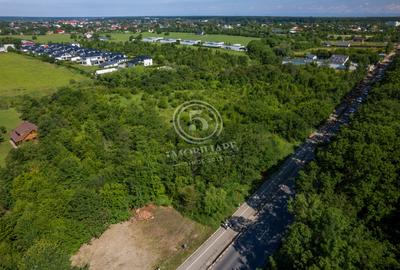 Teren 5.515 mp lângă Lidl Snagov – Ieșire la Lacul Snagov - 8