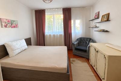 Apartament cu două camere Calea Lipovei - 2