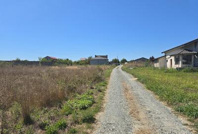 Teren de vanzare in Agigea lot de casa - 13