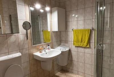 2 camere Berceni - Oltenitei cu centrala proprie - 3