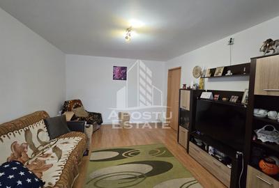 Apartament cu 4 camere decomandat, mobilat în Lipovei