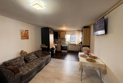 Apartament cu 3 camere decomandat, mobilat în Lăpuș