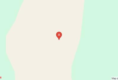 Teren agricol extravilan de 14884 mp, în Mihai Bravu
