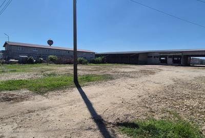 Spațiu Industrial și Logistic - 18