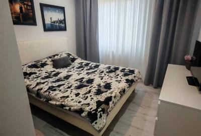 Apartament cu 2 camere decomandat, zona Nicolina1 - spate Lidl - 2