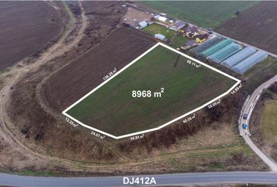 TEREN INTRAVILAN PREMIUM DE VÂNZARE VARLAAM – COMUNA ADUNAȚII COPĂCENI - 2