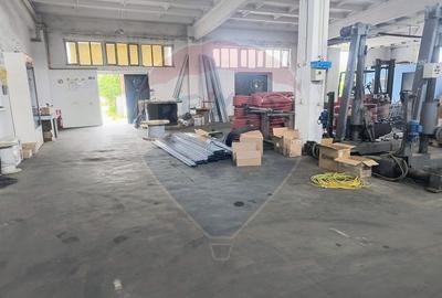 Hala de vanzare Drumul intre Tarlale - Pallady - 7