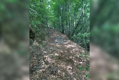 Teren cu potențial turistic, cadru natural rar, 20.000 mp  Sacuieu - 10