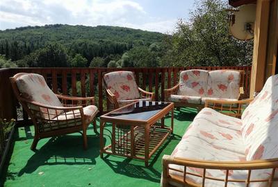 Cabana/Vila de inchiriat Valea Budului, Margineni - 33