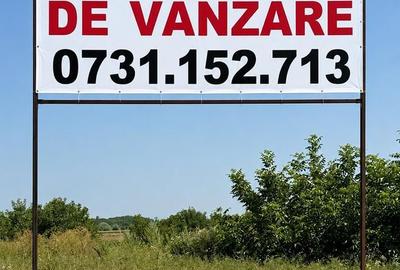 Teren intravilan 4000 mp | Deschidere completa Lac Snagov Toate Utilitatile P+2 - 5