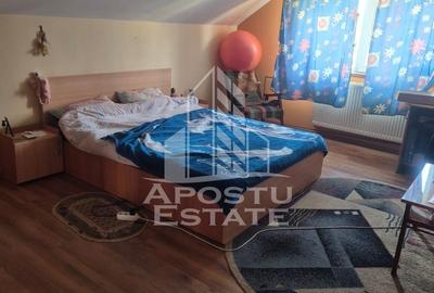 Vila D+P+1E in Lipovei … poziție foarte buna - 5