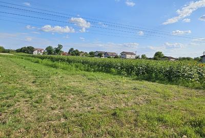 Teren Construcții intravilan de 1000 mp, în Moara Vlăsiei
