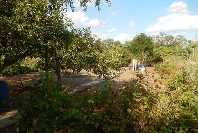Calugareni-Branistari- casa 4 camere, teren 1965 mp, curent, put, libera,69900 € - 29