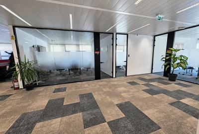 One Herastrau Office (Office 1) - 6