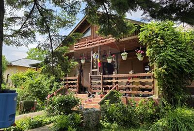 Domeniu rural, gospodarie/multifunctionala cu casa, livada, vie - 1