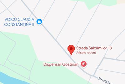 Teren intravilan de Vanzare Gostinari - 3