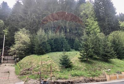 Teren Construcții intravilan de 1105 mp, în Malul Ursului