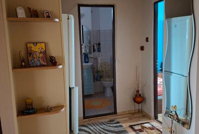 APARTAMENT ULTRACENTRAL,FINISAT,MOBILAT SI UTILAT CU PANORAMA SUPERBA - 24