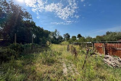 Caransebes, Casa la Curte, Zona Spitalului - 16