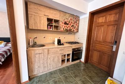 Apartament 2 cam - Furnica -Central - 4