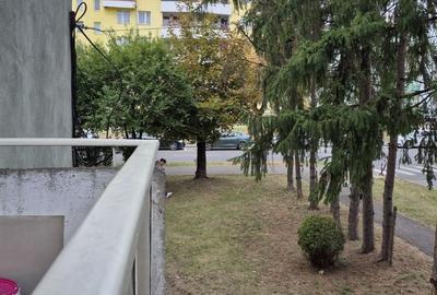 Apartament 2 camere, etaj 1, centrală proprie, str. Vasile Goldiș, Sfâ - 10