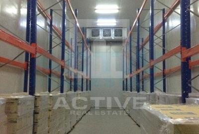 Spațiu industrial, 250 mp în Vest
