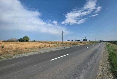 Teren intravilan 7ha, deschidere 234m la drum județean, Mihail Kogălniceanu - 2