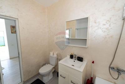 Casa individuala de vanzare cu 3 camere Branesti Strada Florilor - 14