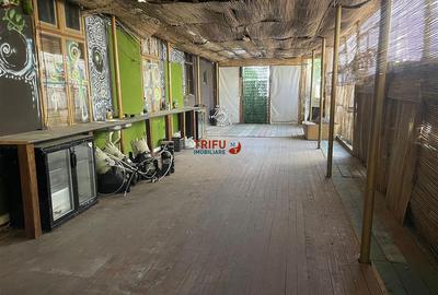 Spatiu comercial pentru restaurant, bar, club cu terasa si crama - 1