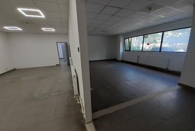 Zona bd. Th. Pallady - hala si birouri 550mp - 16