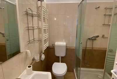Inchiriez casa cu 2 apartamente, Gradiste - 14