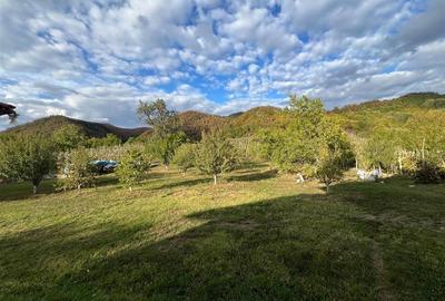 EXCLUSIVITATE! Casa deosebita cu potential de investitie - 2