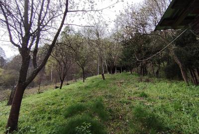Proprietate de vacanta Valea Oltului - BREZOI - 19