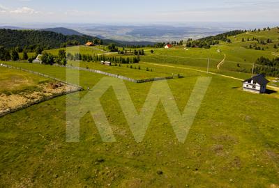 Teren 1003 mp în Păltiniș | Priveliște panoramică către munți - 3
