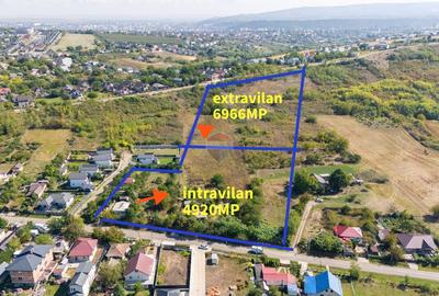 Teren intravilan | 4.920 mp | Balciu, Miroslava - 1