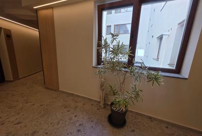 Vand apartament bloc nou 2026 cu gradina generoasa 192 mp - 2