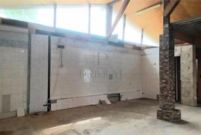Spatiu comercial pentru depozit sau productie - Lipovei - 4