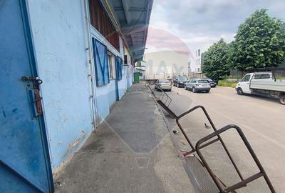 Hala de vanzare Drumul intre Tarlale - Pallady - 8