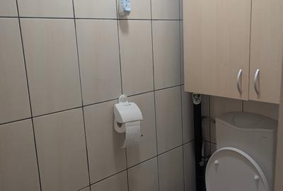 Casa Domenii Herăstrău, 4 camere, 2 băi, curte proprie. - 28
