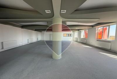 Spațiu comercial P+E 348.6 mp de închiriat, Giarmata, DJ691 - 10