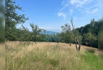 Teren cu potențial turistic, cadru natural rar, 20.000 mp  Sacuieu - 11