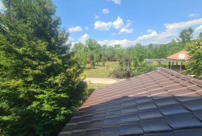 Vila de vanzare in Brebu - Zona Brebu Manastirei - 36