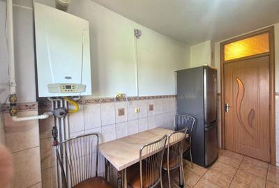 Centru Civic, apartament decomandat, ideal pentru un cuplu, pet friendly - 23