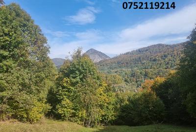 Teren deosebit, la munte, Dragoslavele, Rucar, Arges, doar 6 euro/mp! - 4